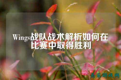 Wings战队战术解析如何在比赛中取得胜利