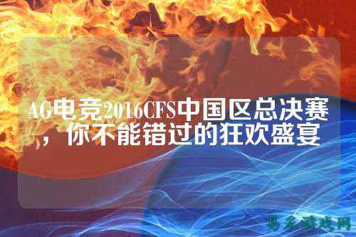 AG电竞2016CFS中国区总决赛,你不能错过的狂欢盛宴