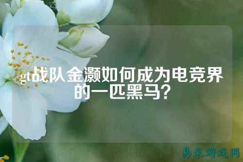 gt战队金灏如何成为电竞界的一匹黑马？