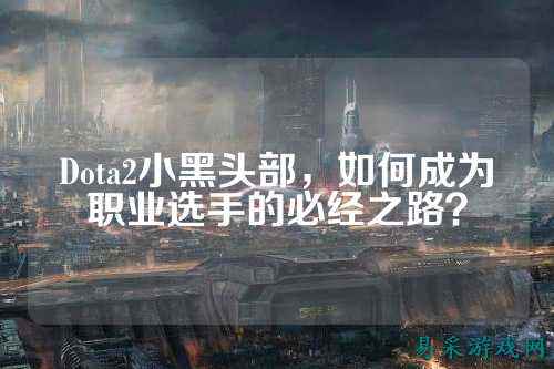 Dota2小黑头部，如何成为职业选手的必经之路？