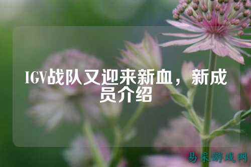 IGV战队又迎来新血，新成员介绍