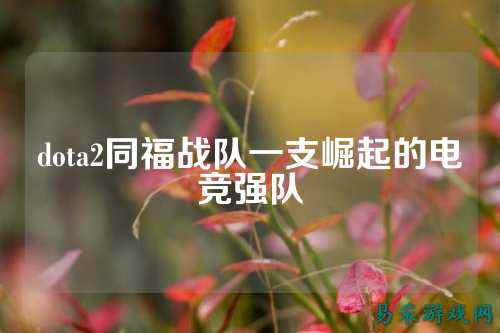dota2同福战队一支崛起的电竞强队