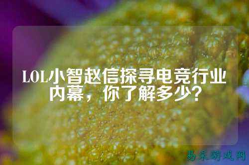 LOL小智赵信探寻电竞行业内幕，你了解多少？