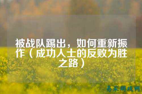 被战队踢出，如何重新振作（成功人士的反败为胜之路）
