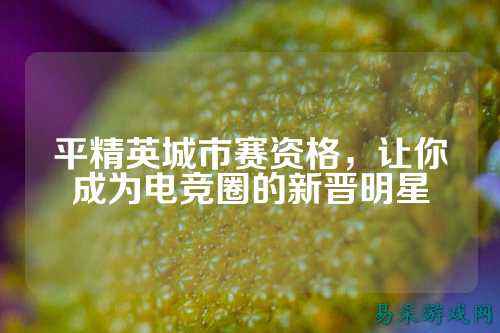 平精英城市赛资格,让你成为电竞圈的新晋明星