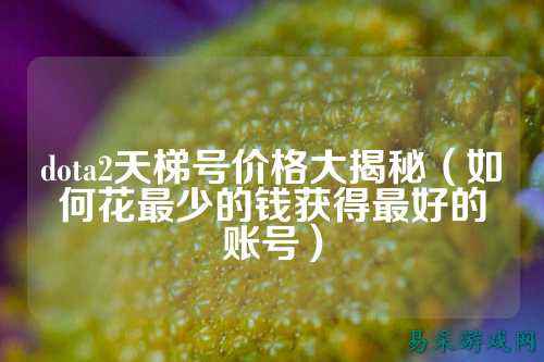 dota2天梯号价格大揭秘(如何花最少的钱获得最好的账号)