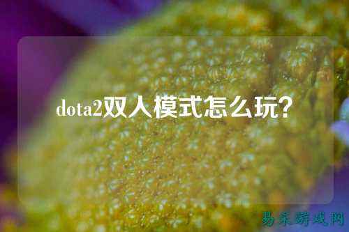 dota2双人模式怎么玩?