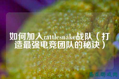如何加入rattlesnake战队（打造最强电竞团队的秘诀）