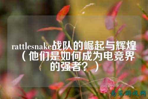 rattlesnake战队的崛起与辉煌（他们是如何成为电竞界的强者？）