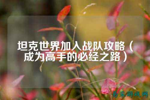 坦克世界加入战队攻略（成为高手的必经之路）