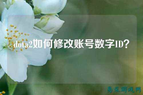 dota2如何修改账号数字ID?