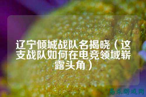 辽宁倾城战队名揭晓（这支战队如何在电竞领域崭露头角）