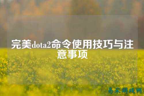 完美dota2命令使用技巧与注意事项