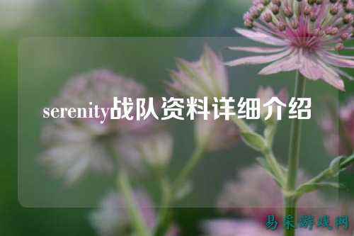 serenity战队资料详细介绍