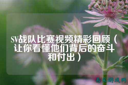 SV战队比赛视频精彩回顾（让你看懂他们背后的奋斗和付出）