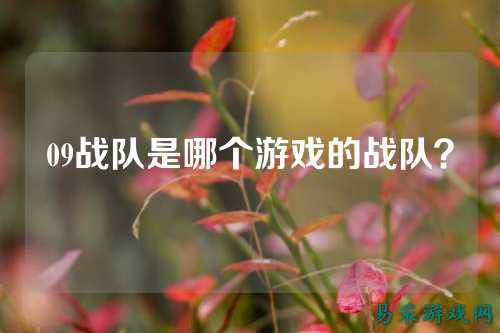 09战队是哪个游戏的战队？