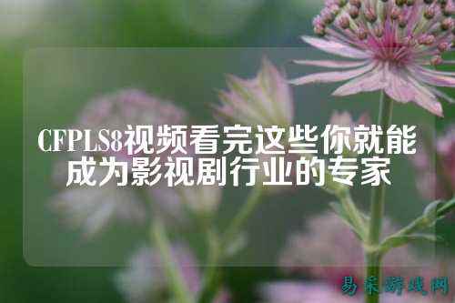 CFPLS8视频看完这些你就能成为影视剧行业的专家