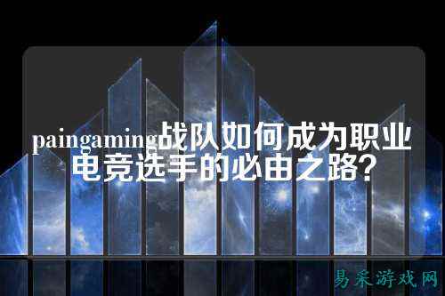 paingaming战队如何成为职业电竞选手的必由之路？