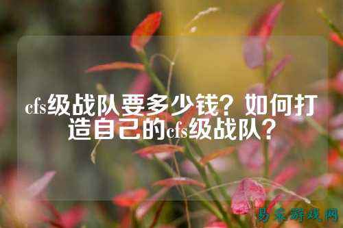 cfs级战队要多少钱?如何打造自己的cfs级战队?