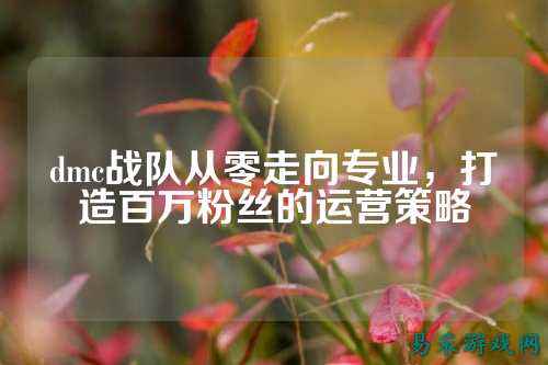 dmc战队从零走向专业，打造百万粉丝的运营策略