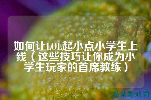 如何让LOL起小点小学生上线(这些技巧让你成为小学生玩家的首席教练)