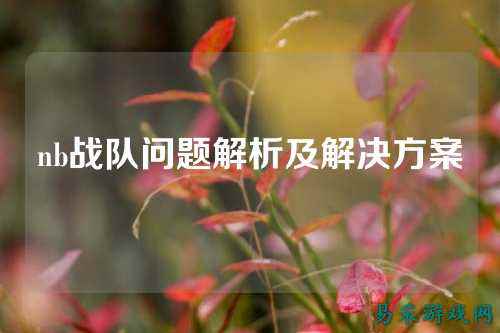 nb战队问题解析及解决方案