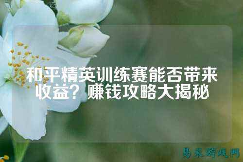 和平精英训练赛能否带来收益？赚钱攻略大揭秘