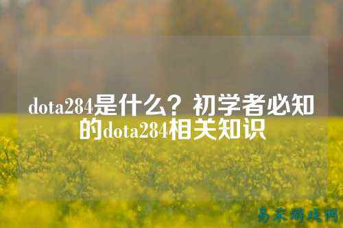 dota284是什么？初学者必知的dota284相关知识