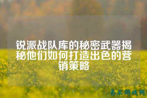 锐派战队库的秘密武器揭秘他们如何打造出色的营销策略