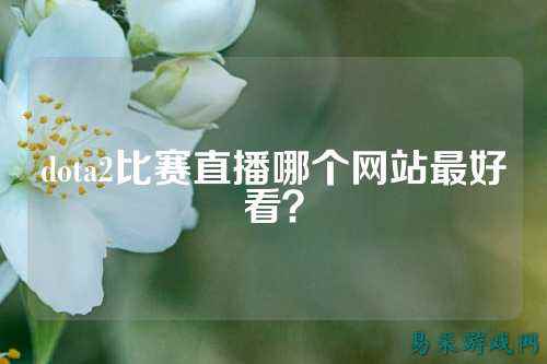 dota2比赛直播哪个网站最好看？