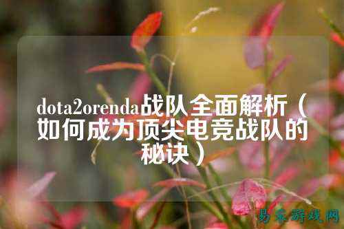 dota2orenda战队全面解析（如何成为顶尖电竞战队的秘诀）