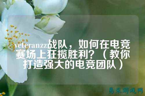 veteranzz战队，如何在电竞赛场上狂揽胜利？（教你打造强大的电竞团队）