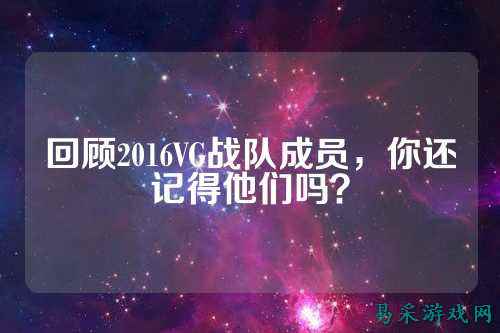 回顾2016VG战队成员，你还记得他们吗？