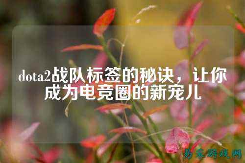 dota2战队标签的秘诀，让你成为电竞圈的新宠儿