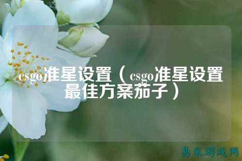 csgo准星设置(csgo准星设置最佳方案茄子)