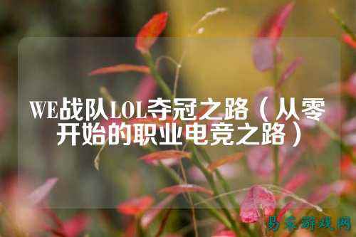 WE战队LOL夺冠之路（从零开始的职业电竞之路）