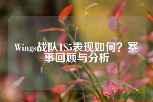 Wings战队TS5表现如何？赛事回顾与分析