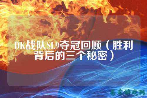 DK战队SL9夺冠回顾（胜利背后的三个秘密）