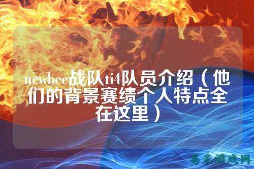 newbee战队ti4队员介绍（他们的背景赛绩个人特点全在这里）