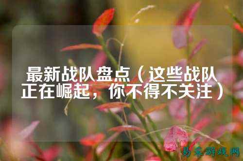 最新战队盘点（这些战队正在崛起，你不得不关注）