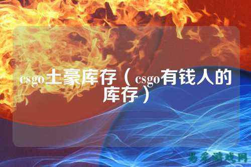 csgo土豪库存(csgo有钱人的库存)