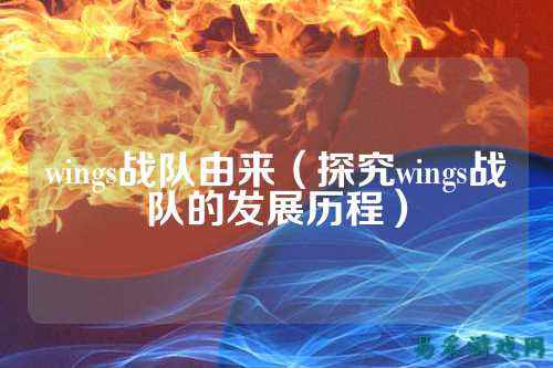wings战队由来（探究wings战队的发展历程）