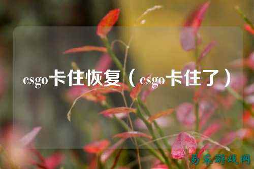 csgo卡住恢复(csgo卡住了)