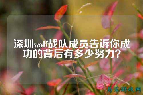 深圳wolf战队成员告诉你成功的背后有多少努力？