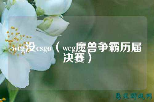 wcg没csgo(wcg魔兽争霸历届决赛)