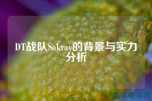 DT战队Sakray的背景与实力分析