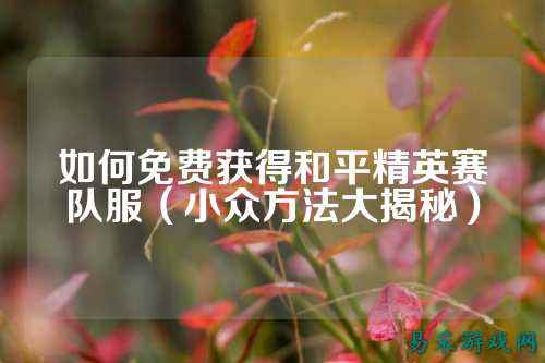 如何免费获得和平精英赛队服（小众方法大揭秘）
