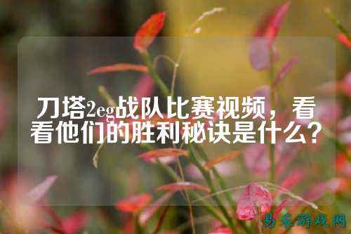 刀塔2eg战队比赛视频，看看他们的胜利秘诀是什么？