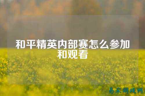 和平精英内部赛怎么参加和观看