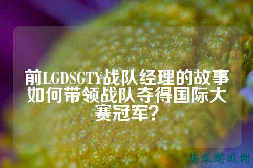 前LGDSGTY战队经理的故事如何带领战队夺得国际大赛冠军？
